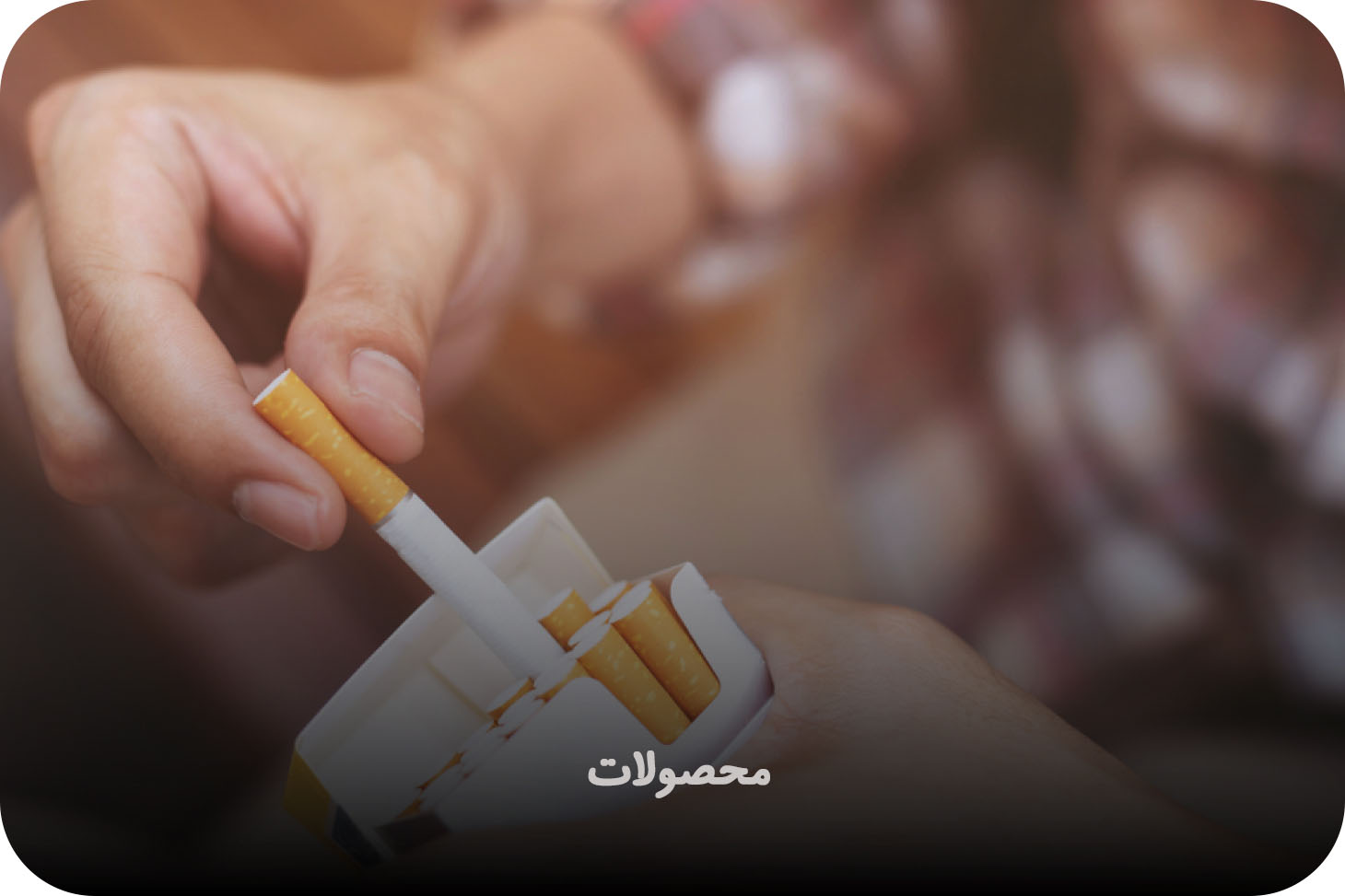 محصولات